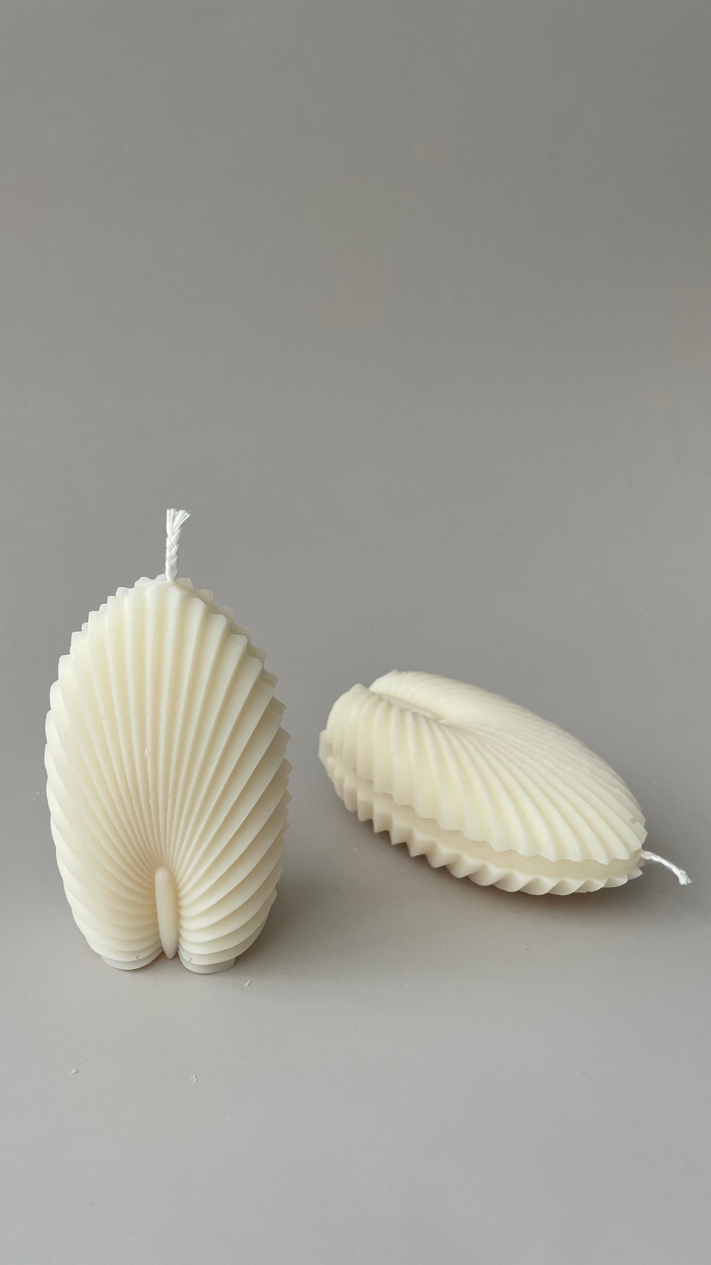 Candle shell set of two